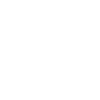 ico-adapt