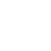 ico-seguridad